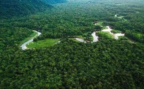 Heartbreak! Amazonia Burning for 3 Weeks Caused Global Concern!